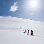 Hotel Alpengasthof Pichler 3*