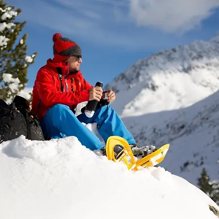 Hotel Alpengasthof Pichler 3*