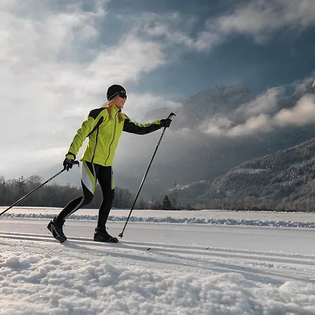 Hotel Alpengasthof Pichler 3*