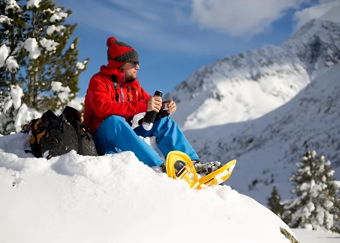 Hotel Alpengasthof Pichler 3*