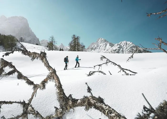 Hotel Alpengasthof Pichler Sankt Veit in Defereggen
