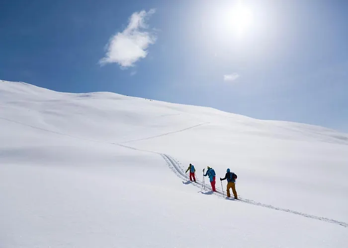 Hotel Alpengasthof Pichler 3*
