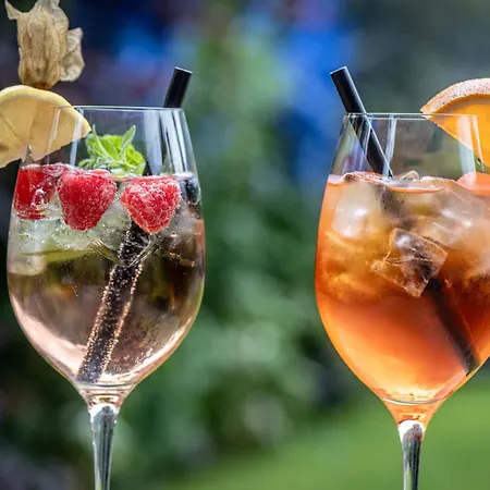 Alpengasthof Pichler 3* Sankt Veit in Defereggen