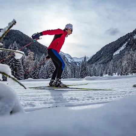 Alpengasthof Pichler