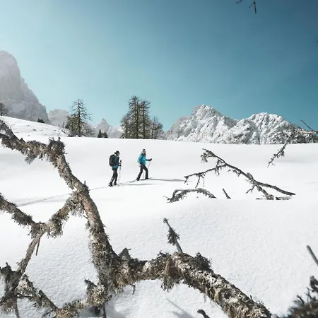 فندق Alpengasthof Pichler Sankt Veit in Defereggen