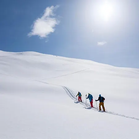 Hotel Alpengasthof Pichler 3*